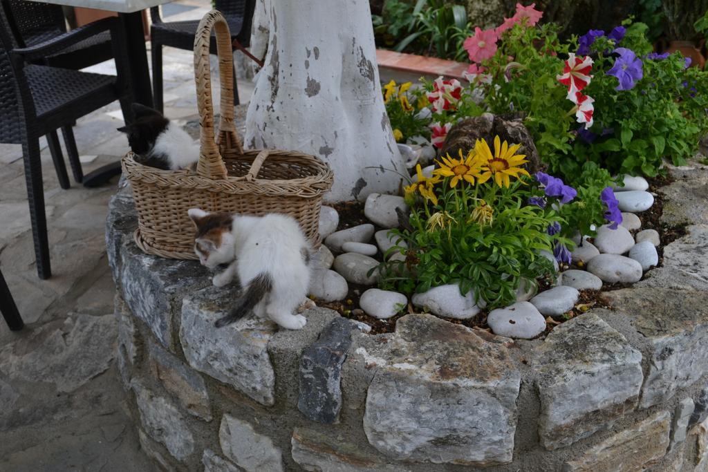 Christina Guest House Mystras Exterior photo